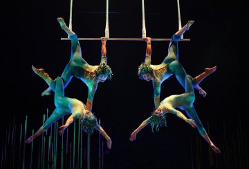Cirque