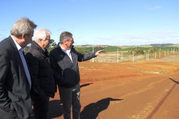 Mauro Mariani campanha