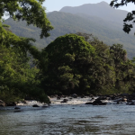 Documento a ser enviado aos deputados estaduais e ao governador pede proteção à legislação estadual e manutenção do modelo catarinense de preservação para garantir segurança jurídica a empreendimentos e pequenas propriedade rurais do estado