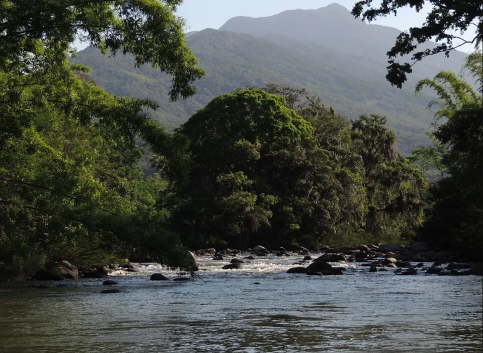 Documento a ser enviado aos deputados estaduais e ao governador pede proteção à legislação estadual e manutenção do modelo catarinense de preservação para garantir segurança jurídica a empreendimentos e pequenas propriedade rurais do estado